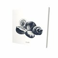 Fondo 32 x 32 in. Blue Seaside Shells-Print on Canvas FO3331857